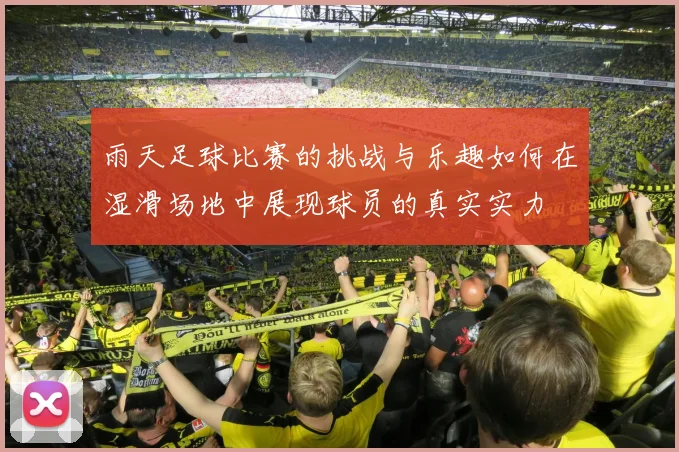 雨天足球比赛的挑战与乐趣如何在湿滑场地中展现球员的真实实力
