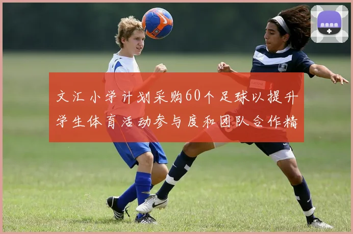 文汇小学计划采购60个足球以提升学生体育活动参与度和团队合作精神