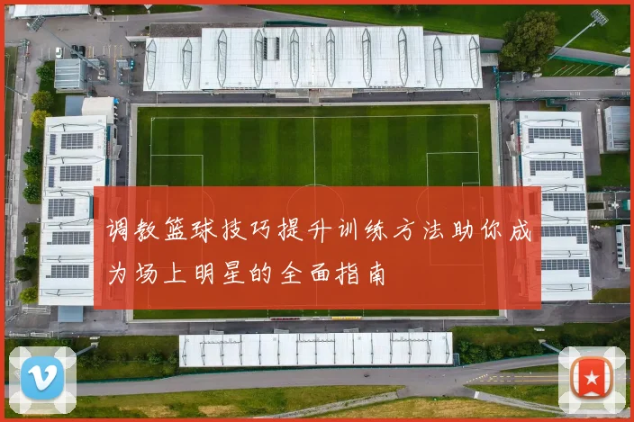 调教篮球技巧提升训练方法助你成为场上明星的全面指南