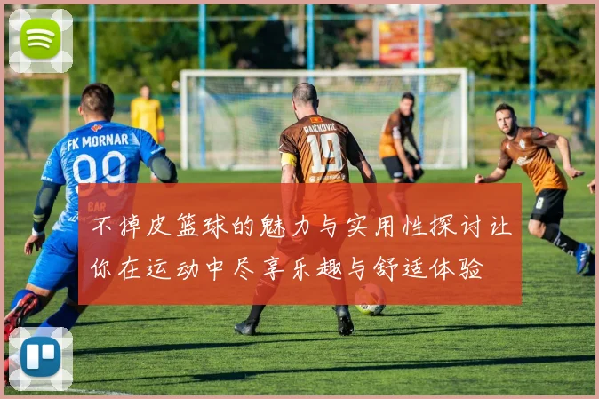 不掉皮篮球的魅力与实用性探讨让你在运动中尽享乐趣与舒适体验