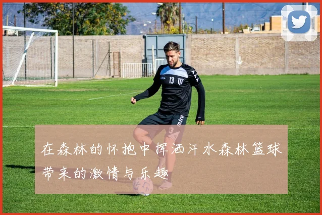 在森林的怀抱中挥洒汗水森林篮球带来的激情与乐趣