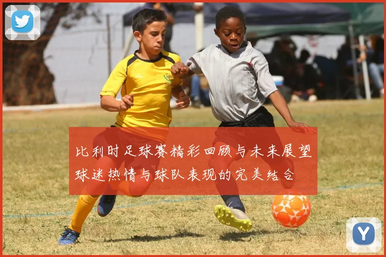 比利时足球赛精彩回顾与未来展望球迷热情与球队表现的完美结合