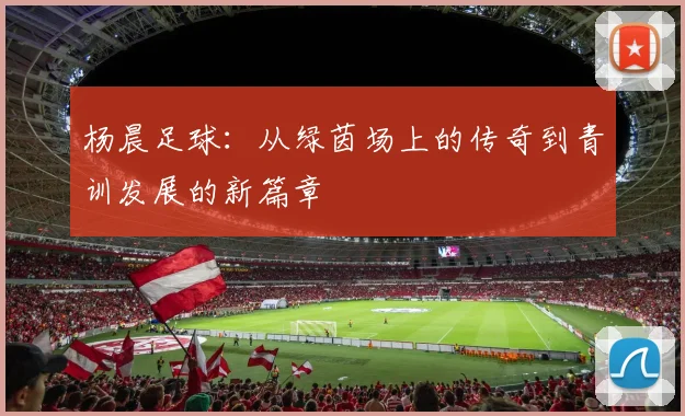 杨晨足球：从绿茵场上的传奇到青训发展的新篇章