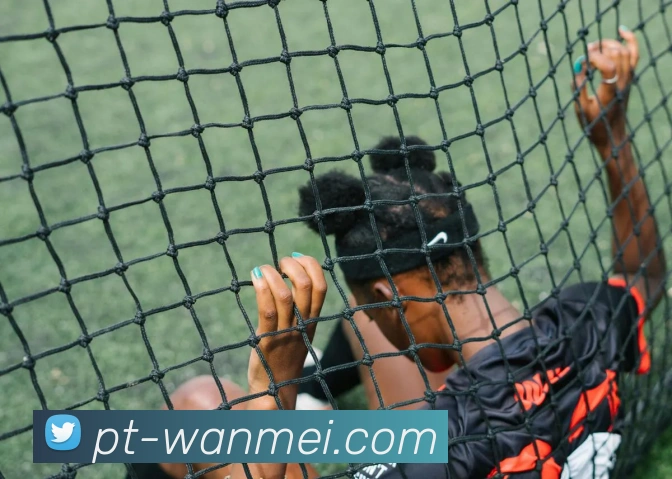 App Interface Preview